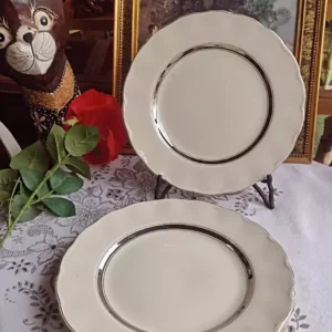 Platos de loza inglesa x11 (5 playos y 6 hondos)