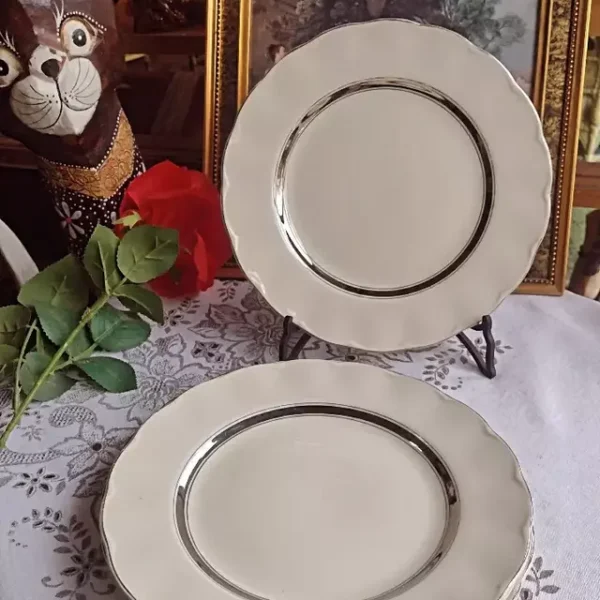 Platos de loza inglesa x11 (5 playos y 6 hondos)