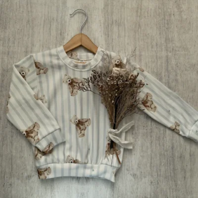 BUZO DARLON RAYADO TEDDY